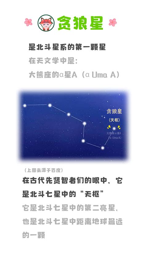 紫微星|紫微星